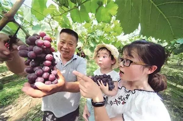 许昌花博会好玩吗,许昌花博园景观