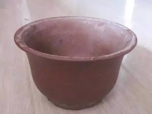 9月不翻盆来年开花少