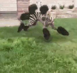 我室友说了，不打耳洞的话，结婚的时候少件首饰