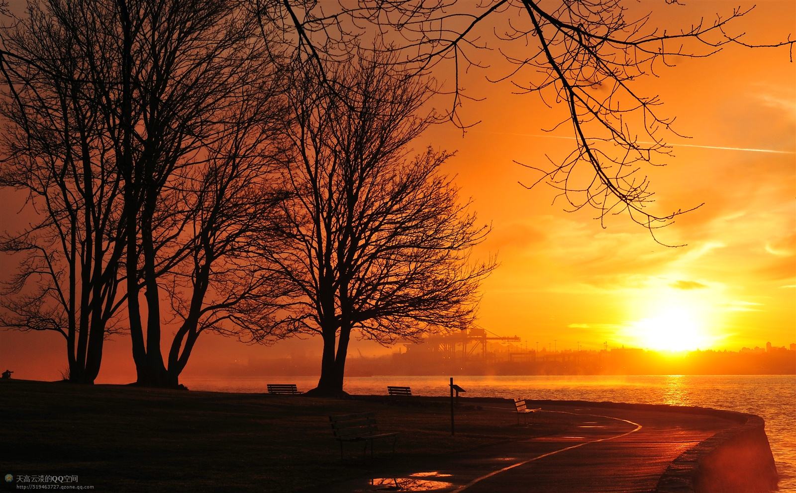 这个「全球宜居城市」已被中国人占领，“不学中文就找不到工作”