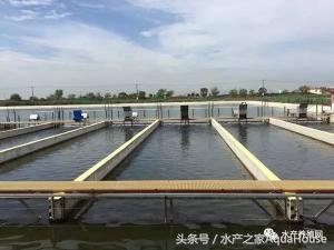 全国水产市场每日最新报价,水产每日报价