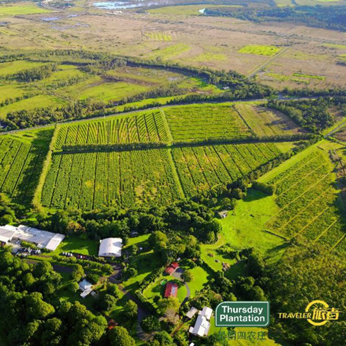 澳洲星期四农庄茶树祛痘凝胶真伪,澳洲星期四农庄产品
