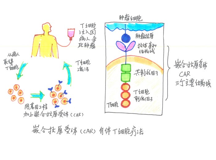 fda批准首个阿尔茨海默症新药,fda批准58种新药