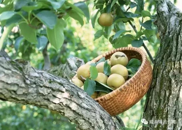 您好，您有一封来自荣成的邀请函，请注意查收！