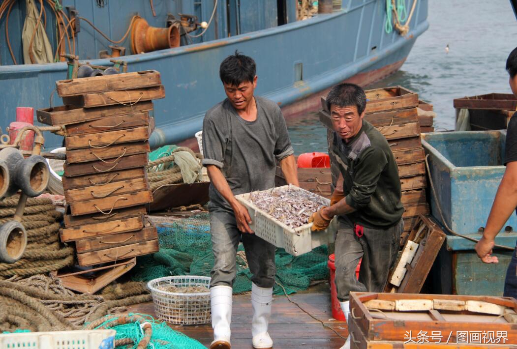 黄渤海有什么海鲜,黄渤海海鲜