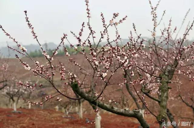 神秘北纬30度在皖南,皖南川藏线北纬30度