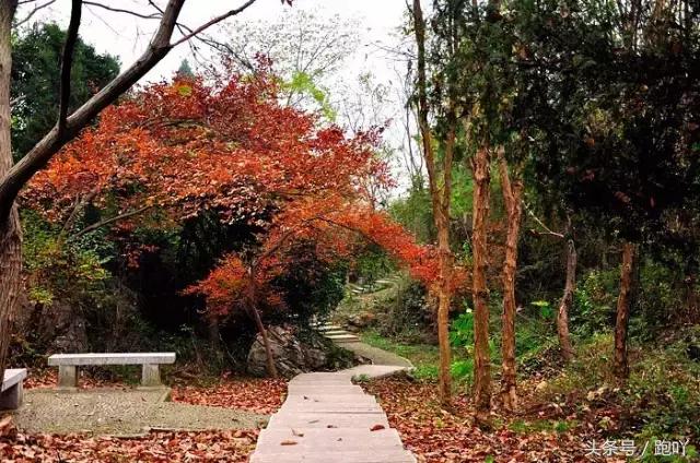 神秘北纬30度在皖南,皖南川藏线北纬30度