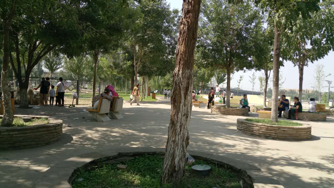 沈阳长白岛森林公园有海吗,游沈阳的长白岛森林公园400字作文