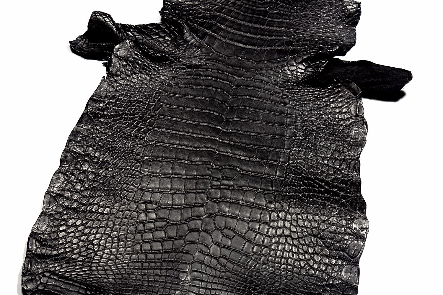 看起来差不多价格相差甚远,各类鳄鱼皮的价位