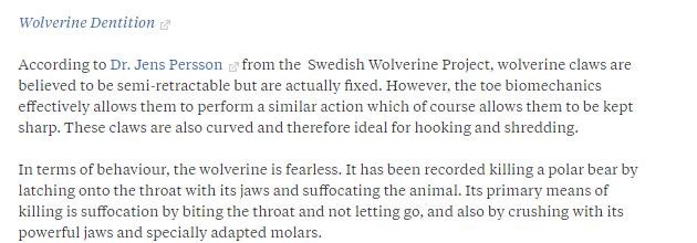 狼獾vs平头哥vs黄鼠狼,平头哥都怕的狼獾有多凶