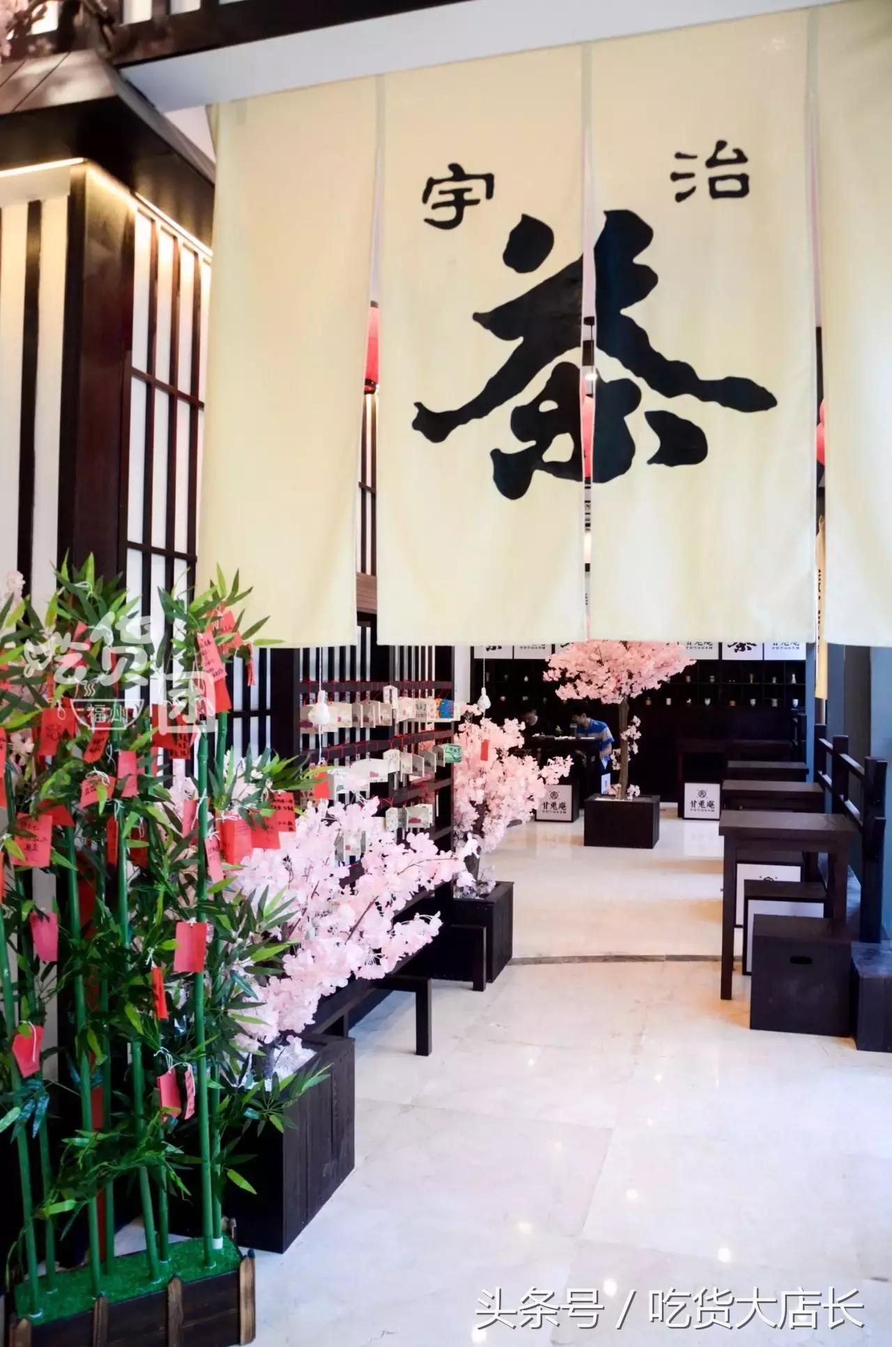 开在樱花树里的抹茶店，被这只兔子绿了也心甘情愿！