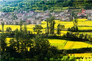 甘肃陇南县志,甘肃陇南徽县县志