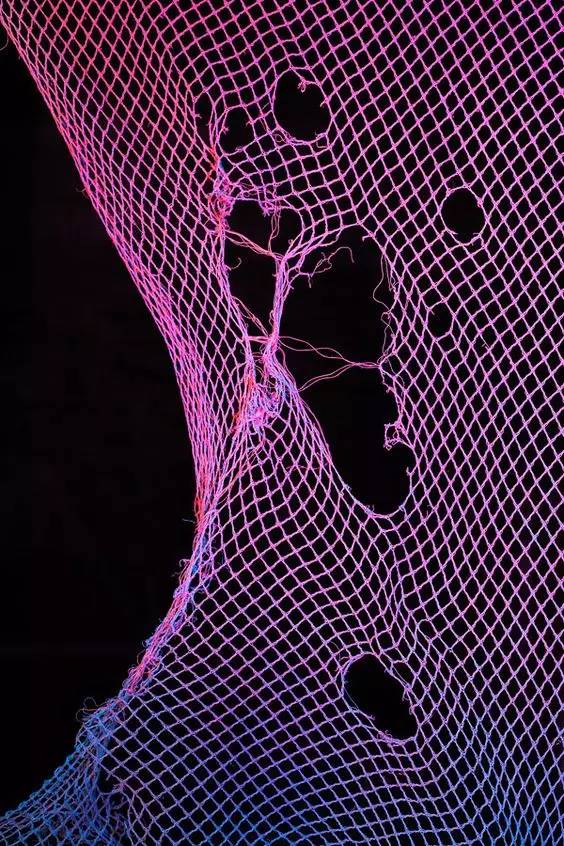 美国天普摄影专业,摄影去影楼学还是报班学