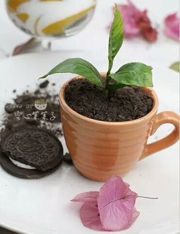 吃货吃奥利奥巧克力雪糕,奥利奥的神仙吃法超级解馋