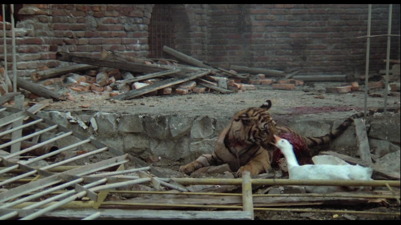 没有哪部片子比它更百年孤独,荒诞的故事下藏着史诗般寓意!