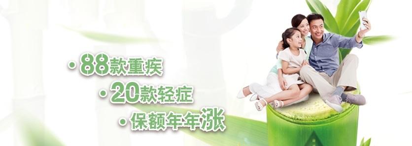 保险怎么选性价比高,怎么了解各个保险公司的保险产品