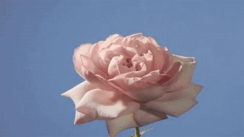 6毛钱一张的面膜,6块钱一片的面膜算便宜吗