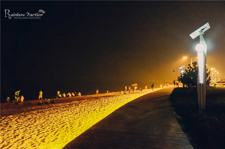 带着狗狗去旅行秦皇岛,带着狗狗旅居