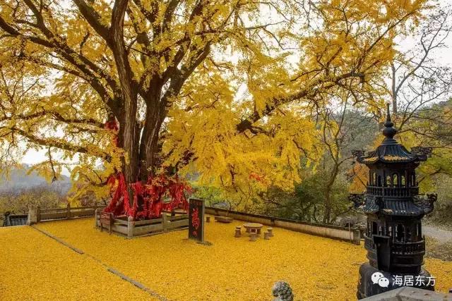 您好，您有一封来自荣成的邀请函，请注意查收！