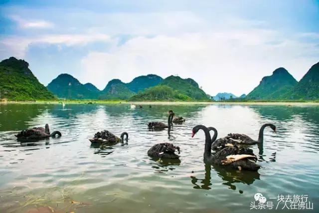 佛山西站出发动车直达!九月的普者黑,美成一幅脱俗的3D田园画~