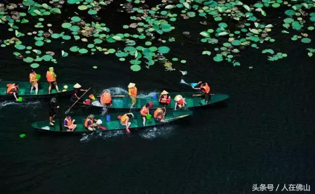 佛山西站出发动车直达!九月的普者黑,美成一幅脱俗的3D田园画~