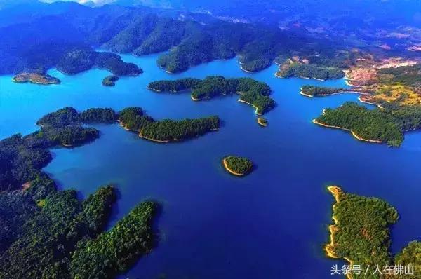 从佛山坐高铁到普者黑从哪进站,佛山西怎么坐高铁到普者黑