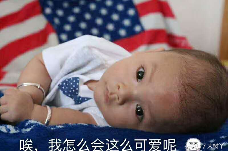 这个小师哥萌娃，年纪轻轻就有一大堆表情包了