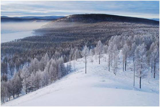 城会玩！正宗蒙古包现身源著天街