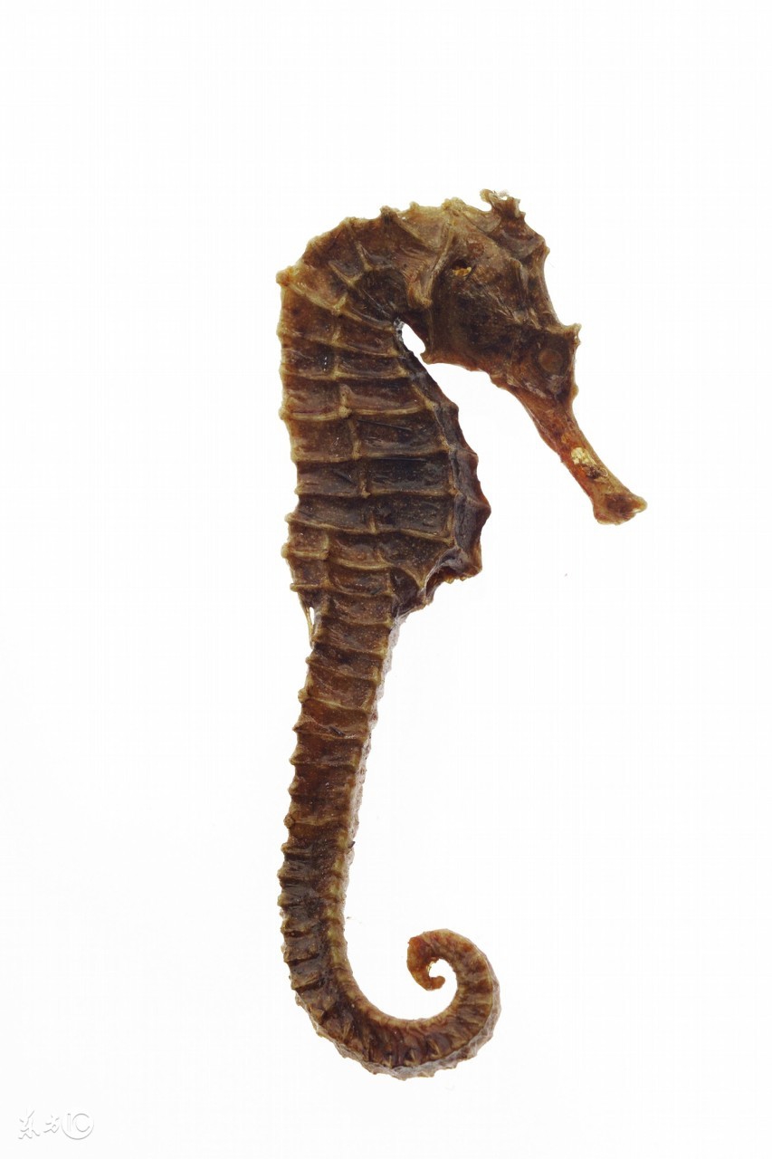 超有趣的冷知识你都不知道,超有趣的冷知识你绝对不知道