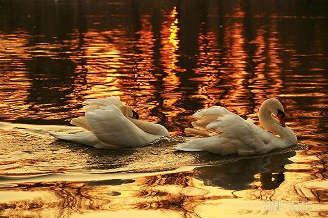 摄影白平衡的基础知识,摄影基础知识什么是白平衡偏移