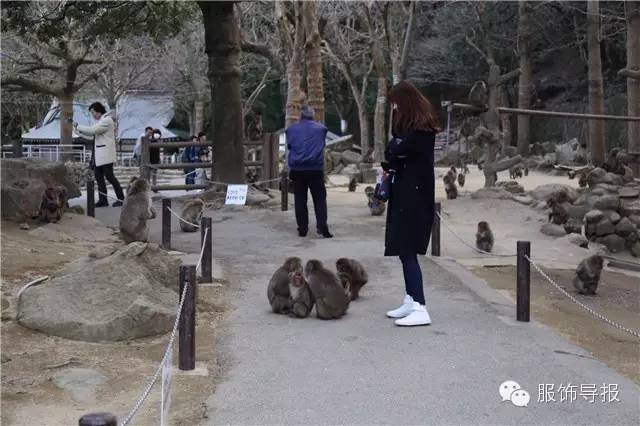 美翻天气质穿搭,夏季旅行穿搭日记