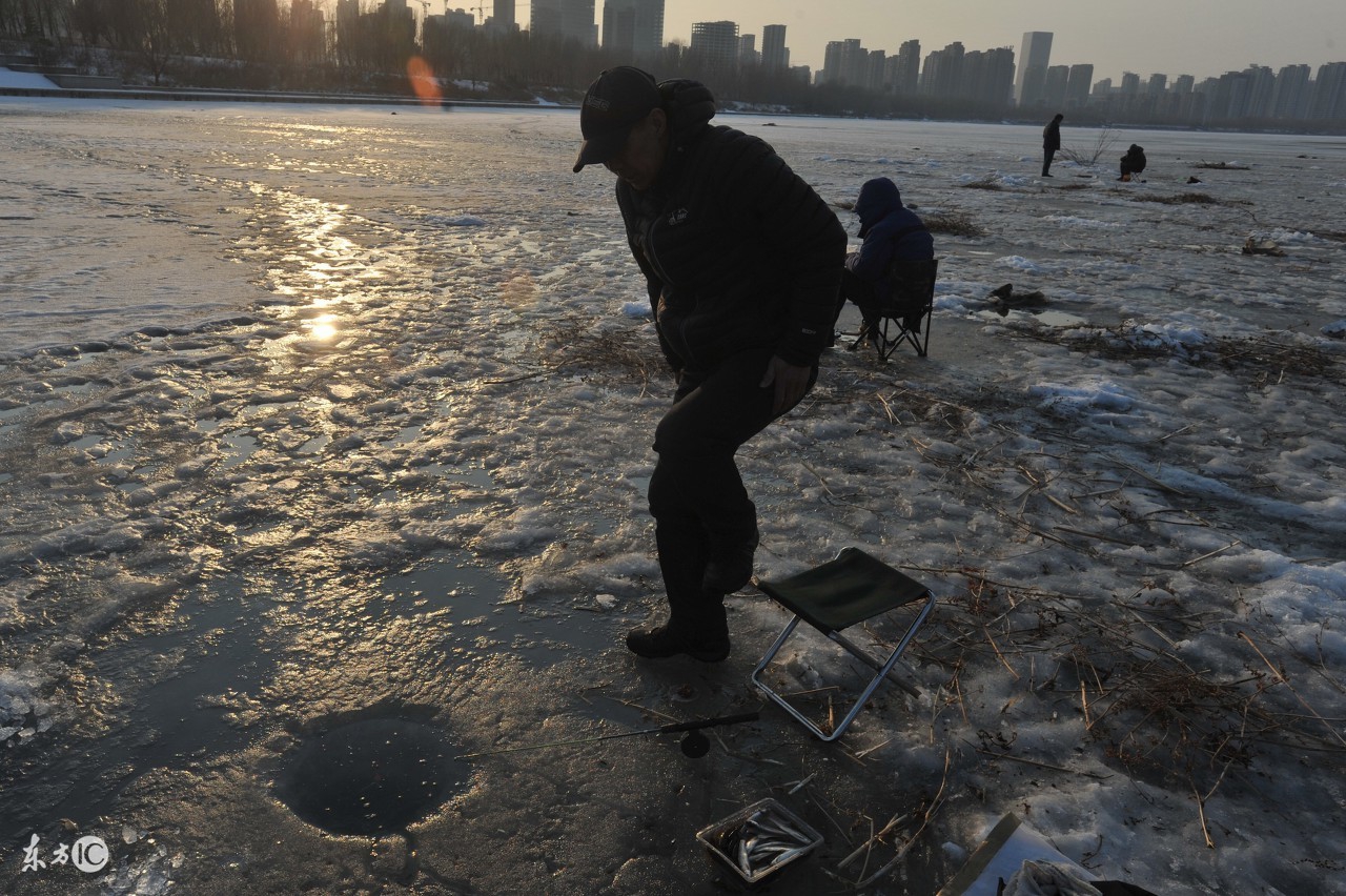 金瑞老师：杀生的定义和范围是什么？