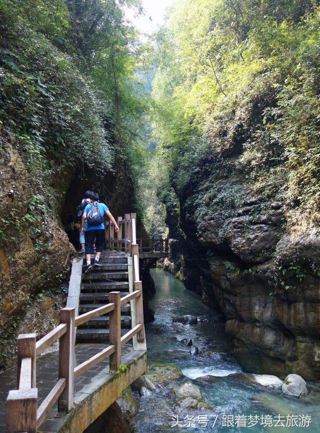 重庆最美黑山谷景区,重庆万盛黑山谷旅游如何