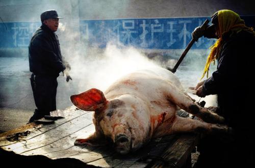 舌尖上的美食杀猪菜,舌尖上的中国东北杀猪菜是第几集