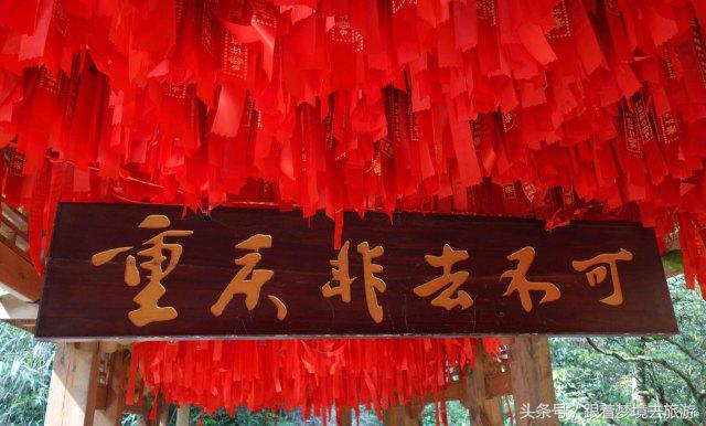 重庆最美黑山谷景区,重庆万盛黑山谷旅游如何