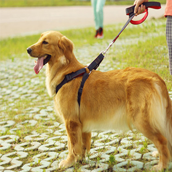 牵引带用了有哪些好处,你会正确握方向盘吗