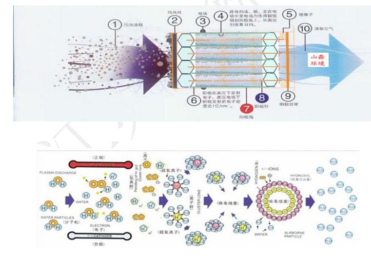 这个工艺处理苯、甲苯、二甲苯、非甲烷总烃、粉尘，达标环保