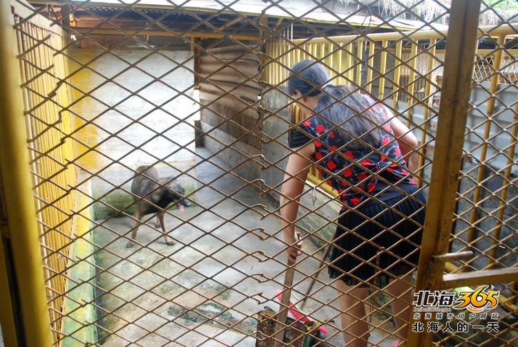 陈荣华北海,北海人的一天
