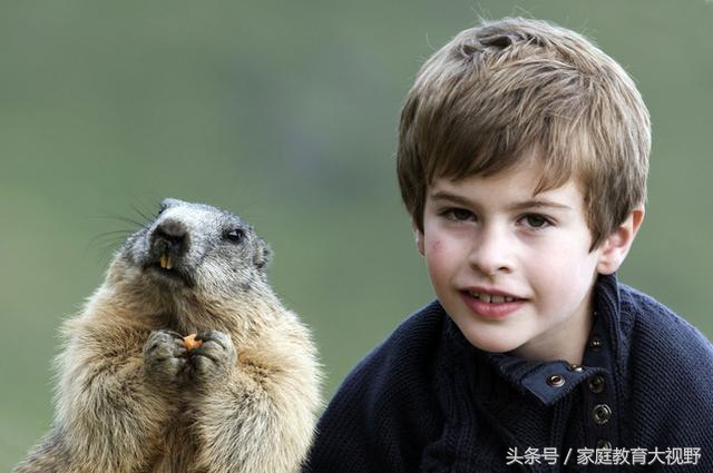 孩子情绪委屈怎么教育,家庭教育正确引导孩子情绪表达