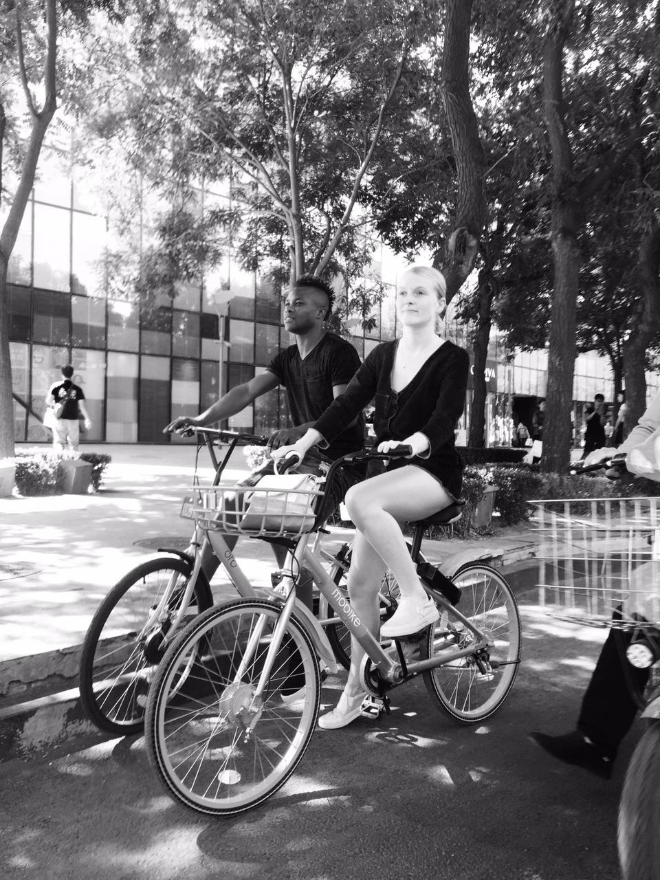 北京人和马西卡：猎豹终将归来Cheetahwillbeback