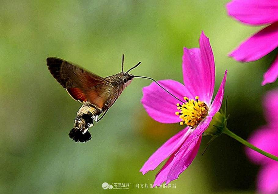 水秀山青下一句,农庄山清水秀的好地方