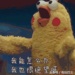 可以给自家孩子取名王者荣耀吗,给孩子起名叫王者荣耀的新闻