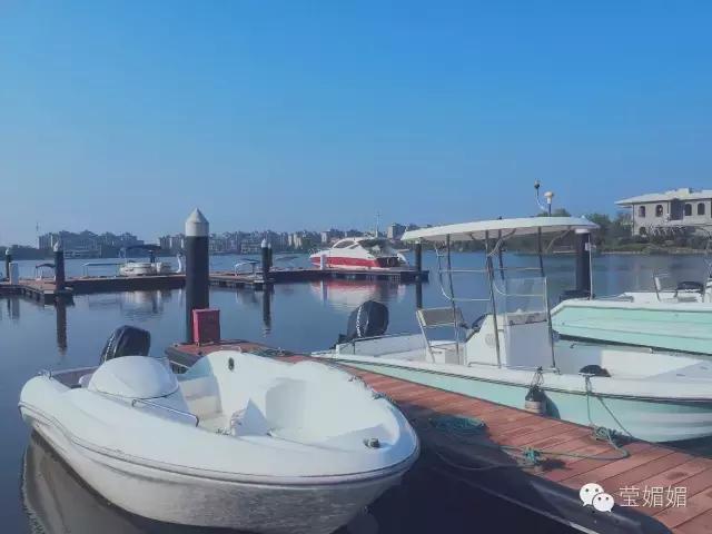 淀山湖日落美景,美丽的淀山湖游一游