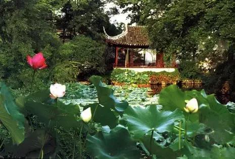 苏州古典名园风景,姑苏四大古典名园