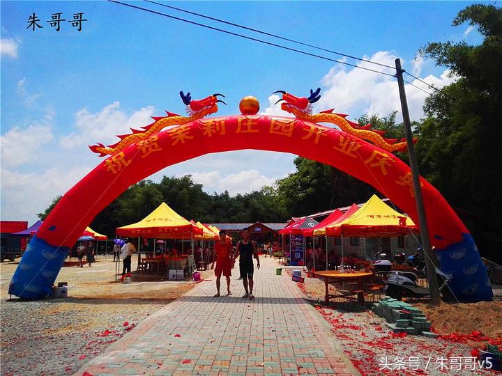 横县校椅镇马毕村茉莉庄园,广西横县茉莉庄园