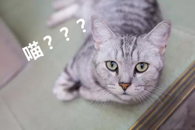 一德路附近人气最旺的美食,一德路附近老字号美食