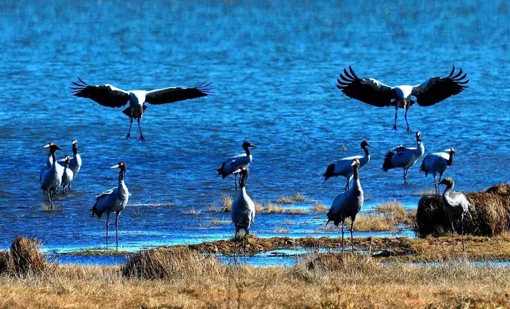 贵州方言笑死人的句子,贵州方言笑死人了