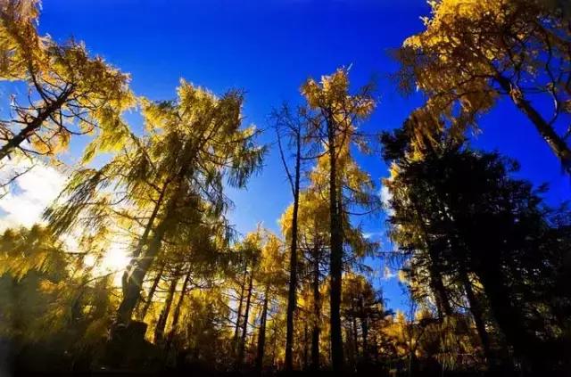 康定旅游景点木格措,康定木格措门票冬天