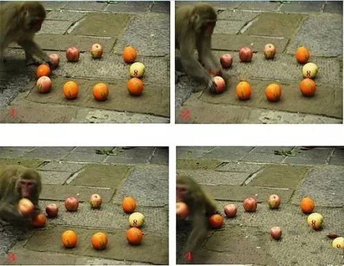 营销达人怎么玩转新媒体,张家界新媒体营销经典案例