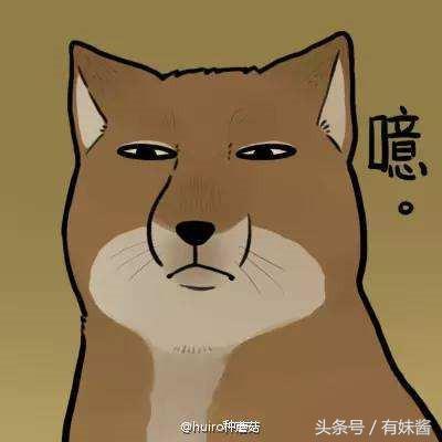 坂本大佬合集解析,新一代坂本大佬